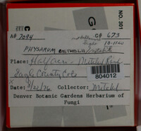 Image Associated With the Occurence
